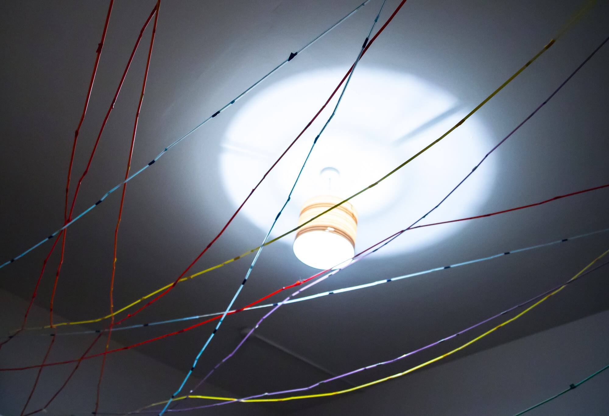 Everything is connected