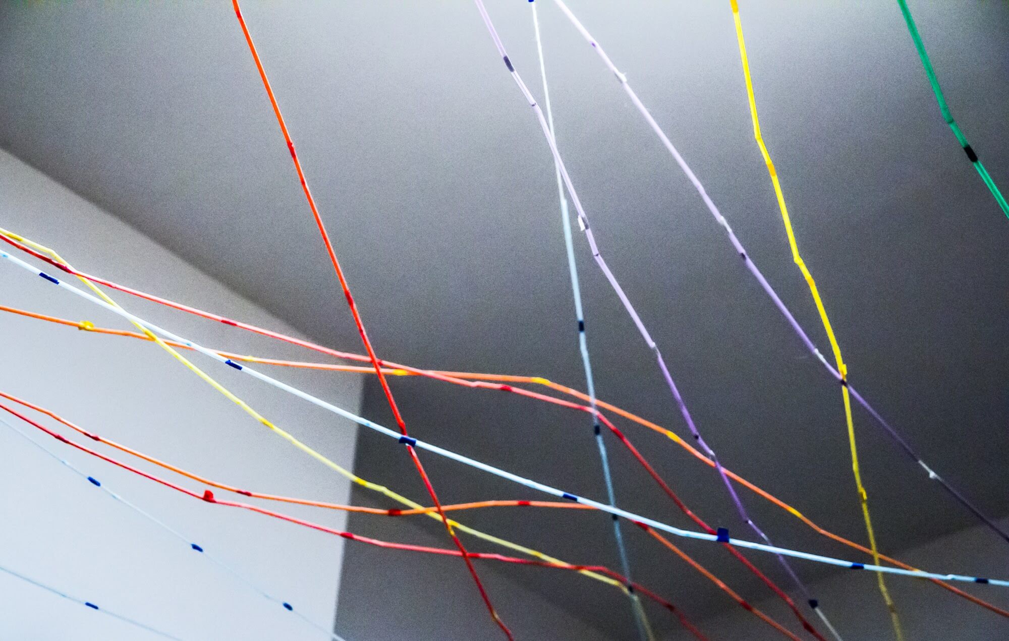 Everything is connected