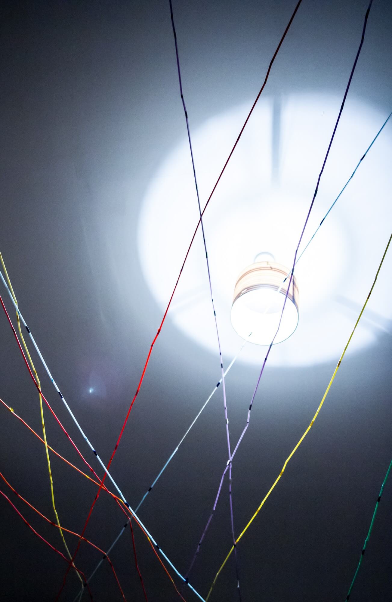 Everything is connected