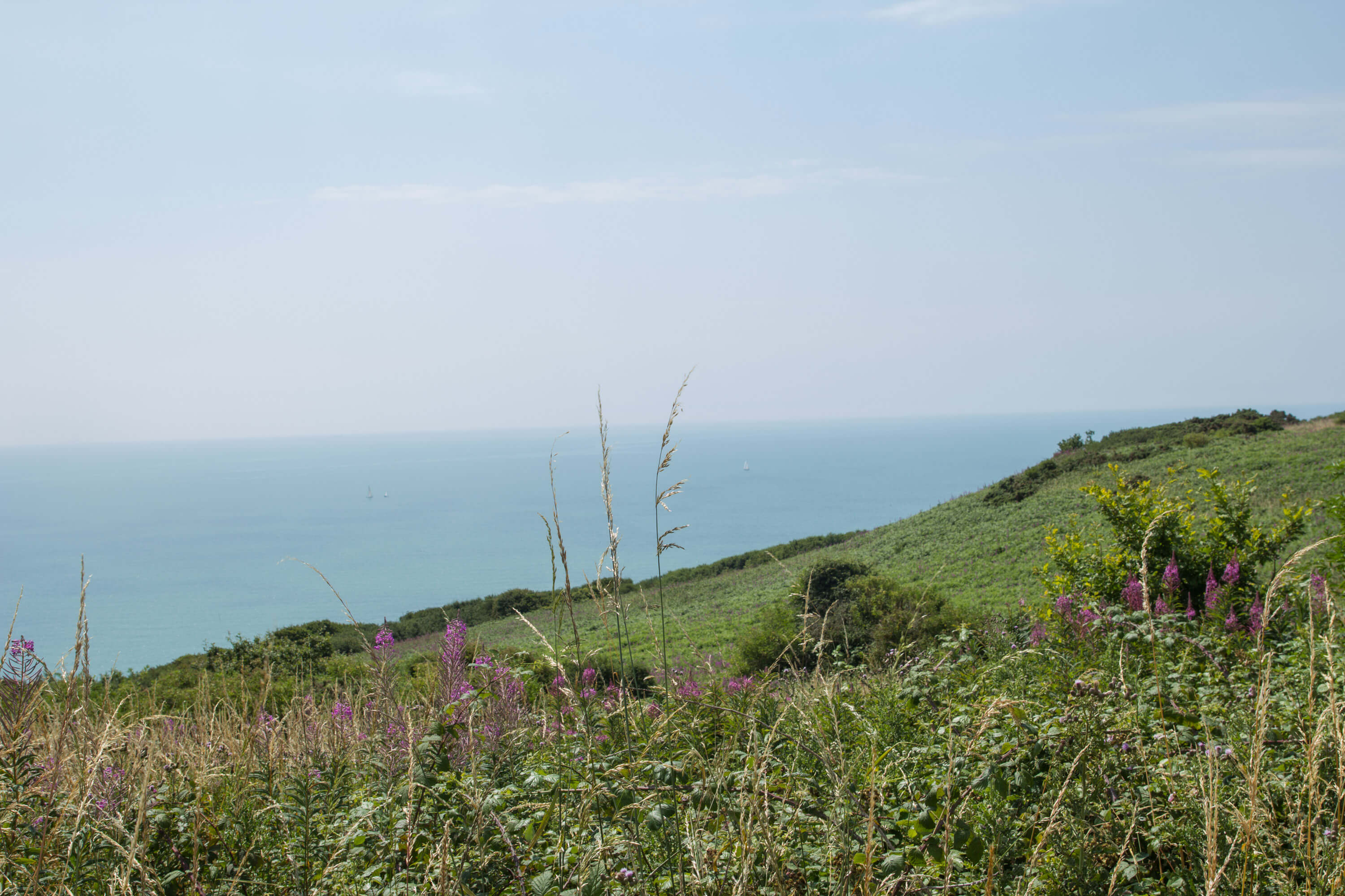 Hastings to Rye