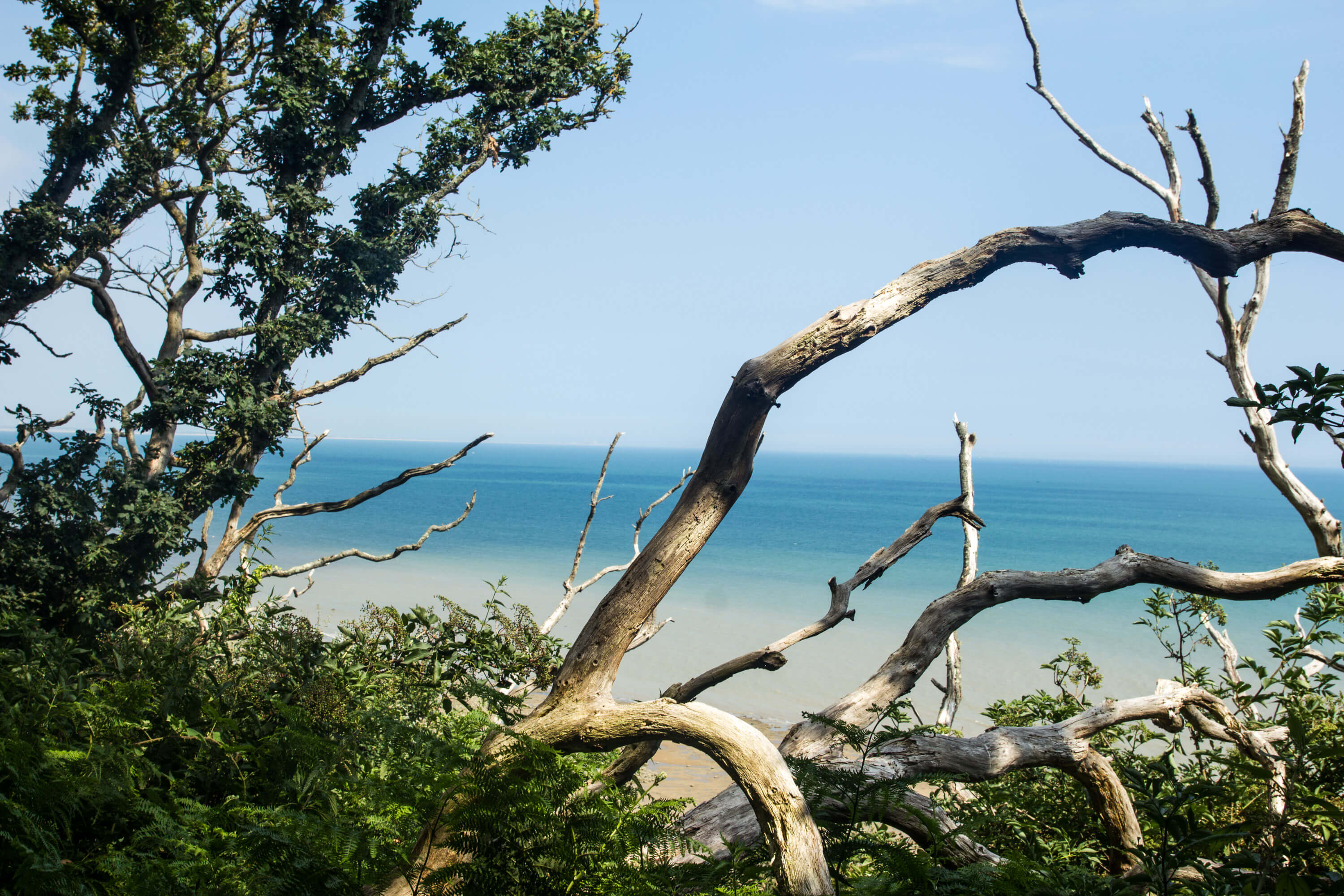 Hastings to Rye