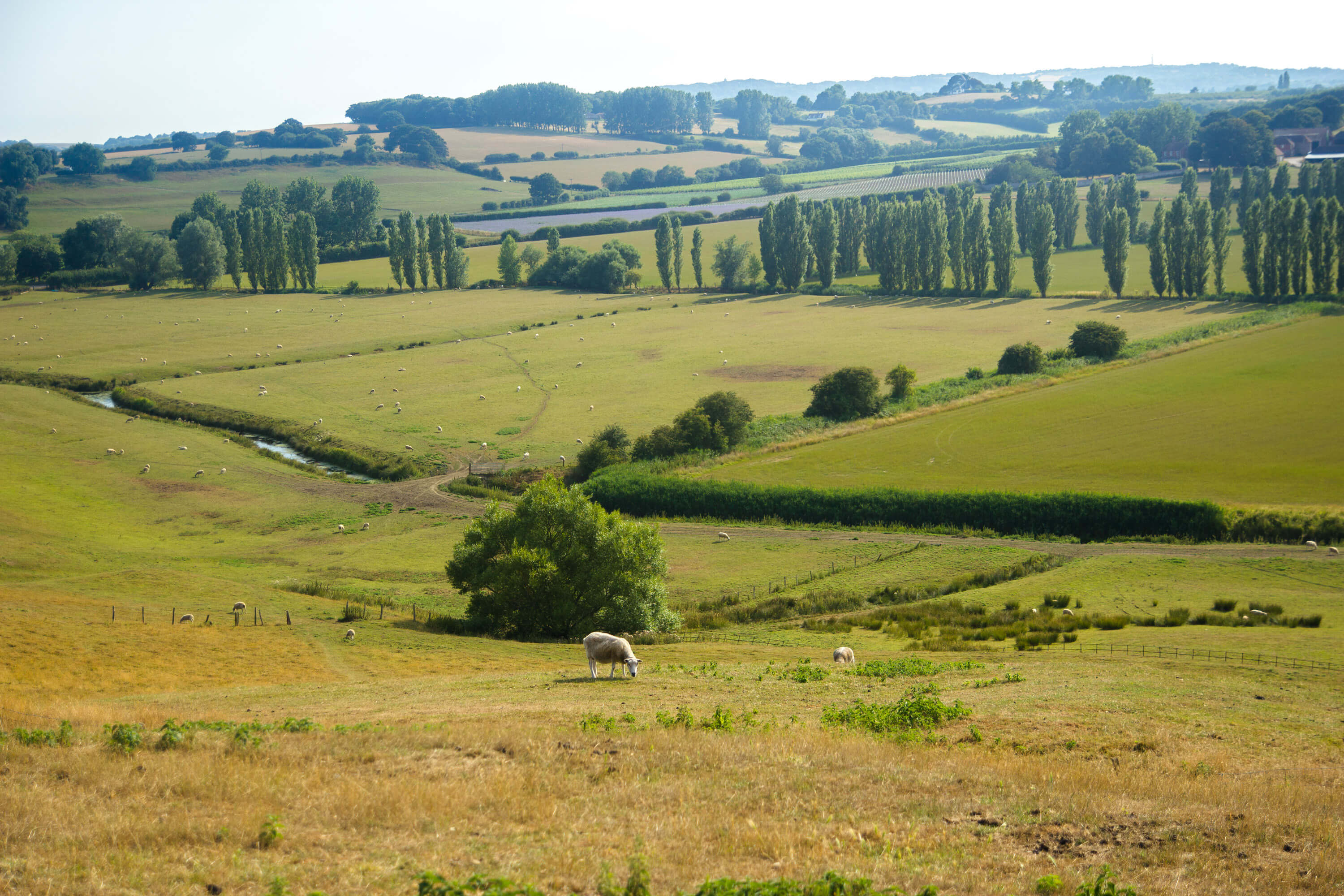 Hastings to Rye