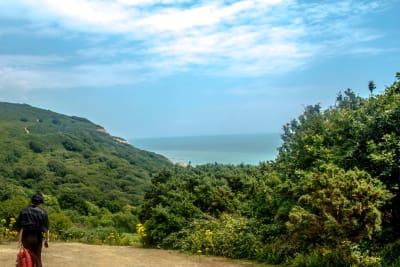 Hastings to Rye