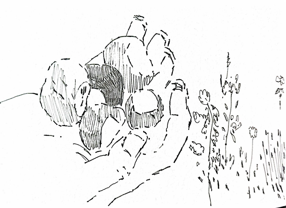 Sketchbook – Lowes – 14