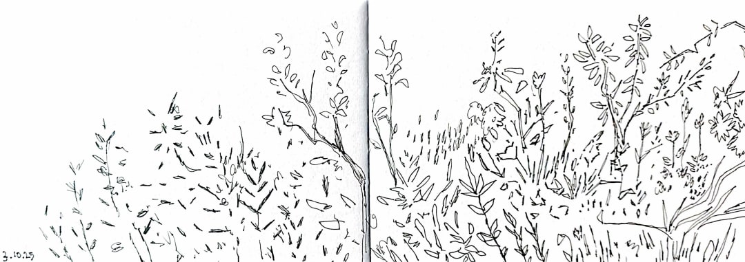 Sketchbook – Lowes – 12