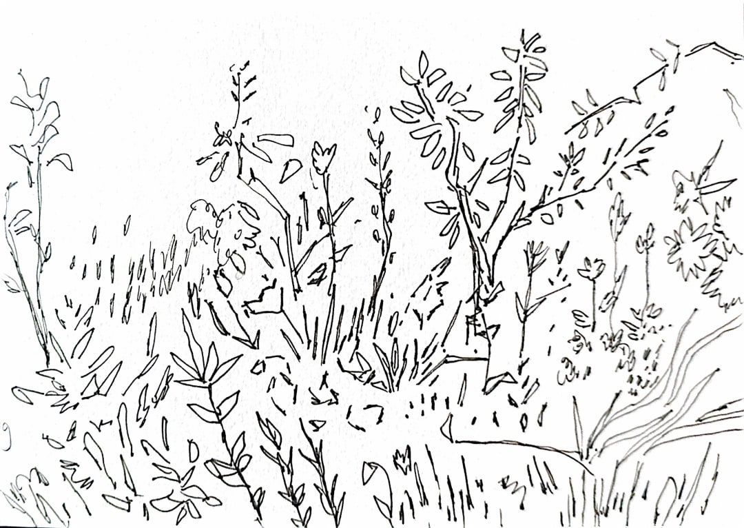 Sketchbook – Lowes – 13