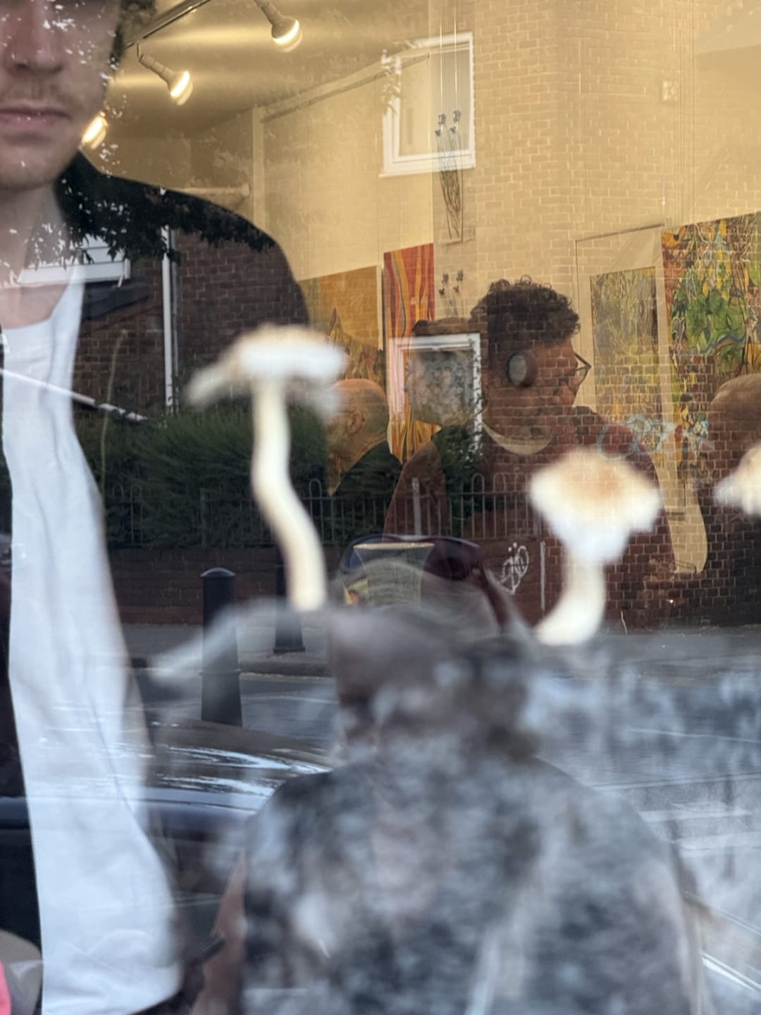 Spectrum of Life – 04